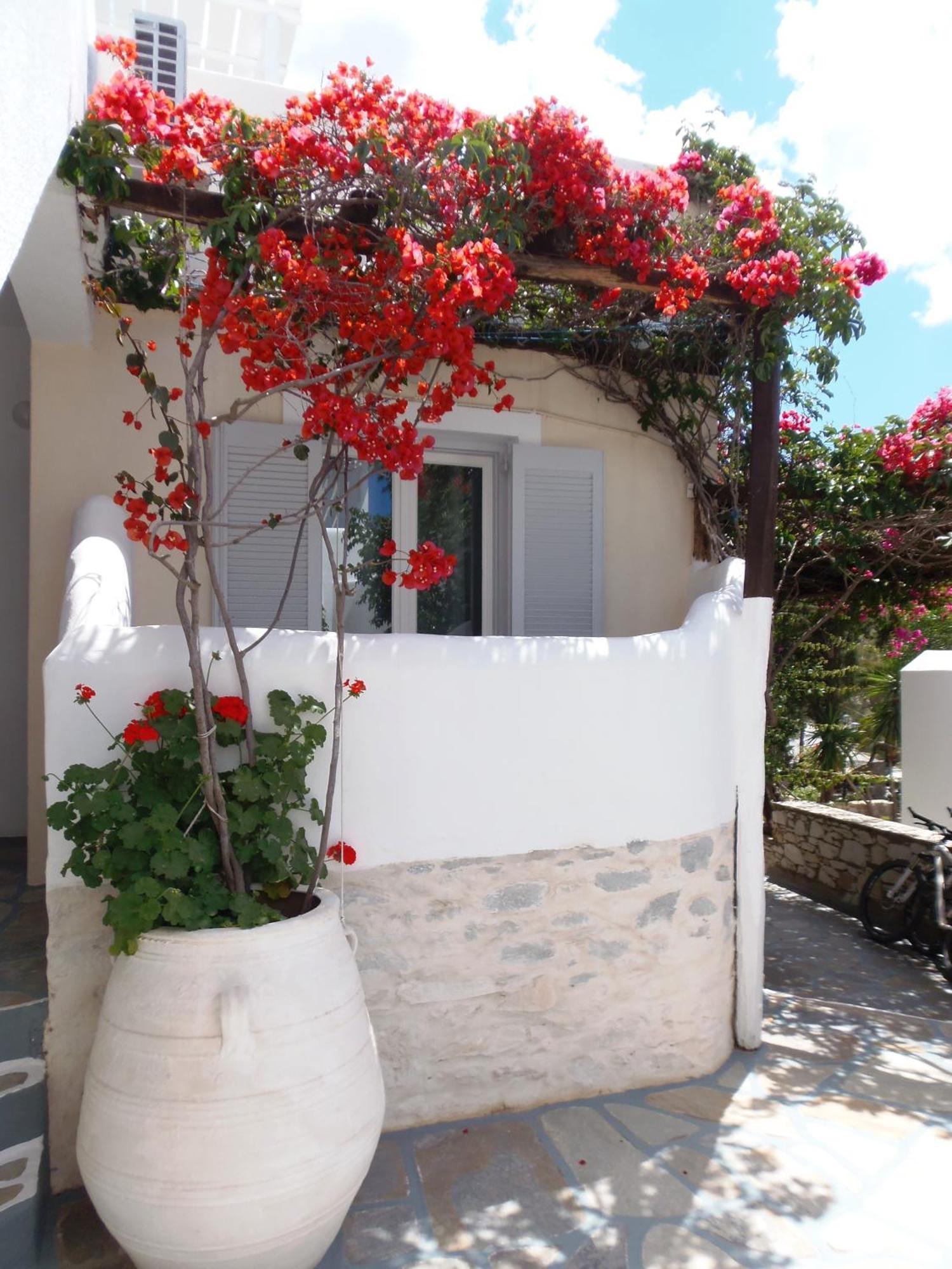 Hotel Manos Νάουσα Εξωτερικό φωτογραφία